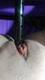 Private Photo of Samy_satc