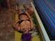 Private Photo of Sheri2